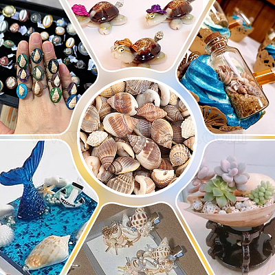 170 г натуральных спиральных бусин из ракушек BSHE-PH0001-44-1