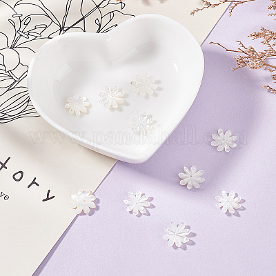 8 шт. натуральные бусины из ракушек FIND-GO0003-28-1