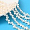 Natural Cultured Freshwater Pearl Beads Strands, Rice, Top Drilled, Grade 3A++, Seashell Color, 3~4mm, Hole: 0.6mm, about 88pcs/strand, 13.78''(35cm)