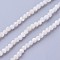 Shell Beads Strands, Faceted, Round, 2~2.5mm, Hole: 0.5mm, about 180~200pcs/strand, 14.5~16.1 inch(37~41cm)