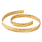 Leaf Brass Ribbon for Lamp Cover Decoration, Golden, 23x1mm