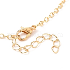 Наборы ожерелий с подвесками в форме сердца из сплава&nbsp;NJEW-B081-07A