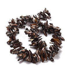 Природные trochid бусы нити SSHEL-G023-05A