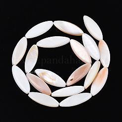 Нити бусин из натуральных пресноводных ракушек PBB220Y-1-01