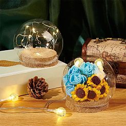 2 комплект купольной крышки из боросиликатного стекла DJEW-NB0001-19