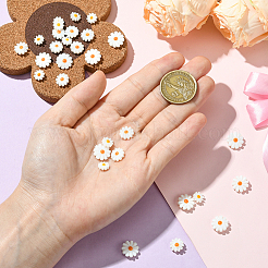 30шт 3 стиля натуральные бусины из пресноводных ракушек&nbsp;SHEL-SC0001-91