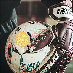 Самоклеящиеся наклейки с тиснением золотой фольгой DIY-WH0211-296