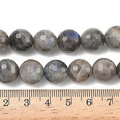 Природные лабрадорита бисер нитей G-L642-F07-12mm
