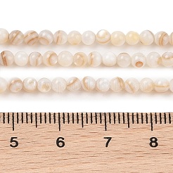 Нити бусин из натуральных пресноводных ракушек&nbsp;X-SHEL-T011-02-3mm