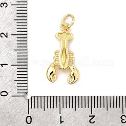 Латунные подвески KK-I364-06G-04