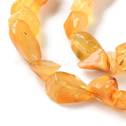 Янтарные шарики нити G-P497-01C-04