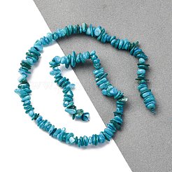 Нити бусин из натуральных пресноводных ракушек BSHE-I016-01A