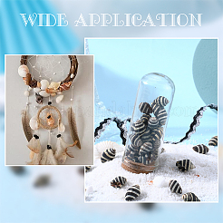 50шт натуральные спиральные бусины-ракушки SSHEL-SC0001-24