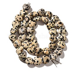 Природные яшмы далматин бисер нитей G-R190-10mm-63