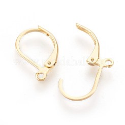 Фурнитура для серег с застежкой-рычагом из нержавеющей стали 304&nbsp;X-STAS-F188-10G