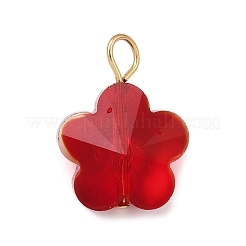 Прозрачные стеклянные подвески PALLOY-JF04099-02