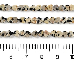 Природные яшмы далматин бисер нитей&nbsp;G-M403-A31-01