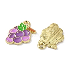 Эмалевые подвески из фруктового сплава&nbsp;PALLOY-S058-01LG-25