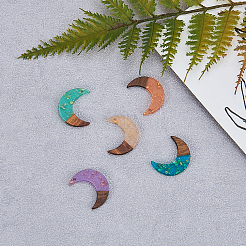 Подвески из прозрачной смолы и ореха RESI-CJ0001-79