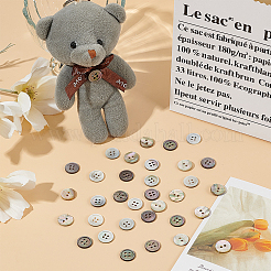 60 шт. 4 пуговицы из натуральной ракушки пауа BUTT-AR0001-16