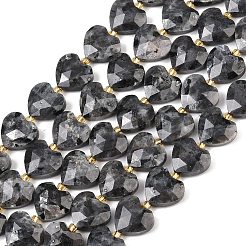 Натуральные нити бус из ларвикита G-P592-B05-01