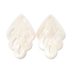 Природные подвески оболочки пресноводных SHEL-F007-17