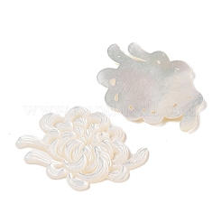 Резные кабошоны из натуральной белой ракушки SSHEL-C012-24C