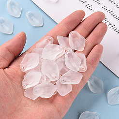 Прозрачные матовые акриловые подвески&nbsp;MACR-S371-03A-701