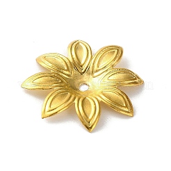 Железный шарик крышки&nbsp;IFIN-C060-04KCG