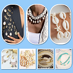 100 шт. бусины из натуральной ракушки каури&nbsp;BSHE-PH0001-64