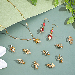 30 шт. подвески из полого сплава с бусинами-клетками&nbsp;KK-PH0014-14G