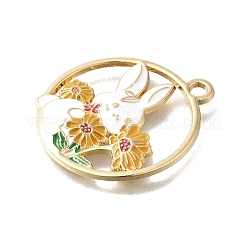 Подвески из эмали и сплава&nbsp;LS-FIND-G090-03A-02