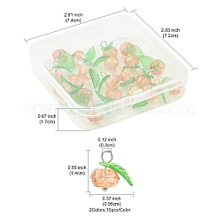 20 шт. 2-х цветные стеклянные и акриловые подвески&nbsp;PALLOY-FS00051