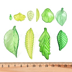 Прозрачные акриловые подвески OACR-G056-01D