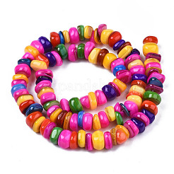 Нити бусин из натуральных трохоидных/трохус ракушек SHEL-S258-081-B08