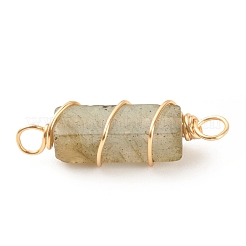 Подвески из натурального лабрадорита&nbsp;PALLOY-JF01580-01