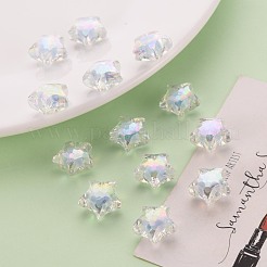 Прозрачные акриловые бусины TACR-S152-02D-SS2113