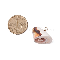 Кулоны из натуральной оболочки глаза шива PALLOY-JF02952