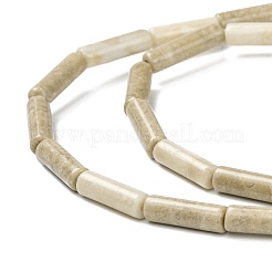 Природные окаменелое дерево бисер пряди G-F247-49