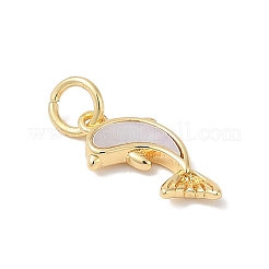 Латунь с подвесками-ракушками KK-Q030-06G