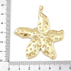 Латунные большие кулоны&nbsp;KK-L251-29G