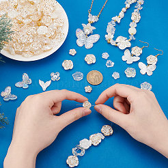 Прозрачные акриловые бусины OACR-PH0004-32A