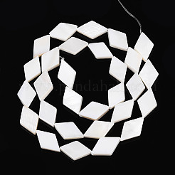 Нити бусин из натуральных пресноводных ракушек SHEL-T020-13H