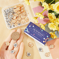 60 шт. 2 цвета подвески из сплава в тибетском стиле&nbsp;FIND-SC0010-55