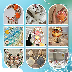 40 шт. натуральная ракушка для украшения аквариума&nbsp;SHEL-PH0001-69B