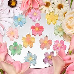 24шт 12 цвета подвески из полупрозрачной смолы RESI-CJ0002-50