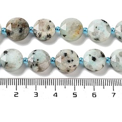 Натуральный кунжут яшма / киви нитки бусины яшмы G-NH0004-013