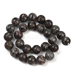 Натуральные нити бус из ларвикита G-F792-C03-03