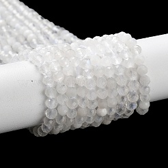 Бусины из натурального радужного лунного камня X-G-J400-E12-01