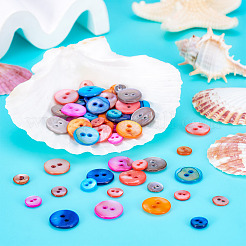 70 шт. 14 стиля пуговиц из пресноводной ракушки&nbsp;SHEL-TA0001-13